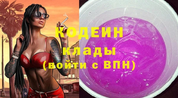 прущие грибы Армянск