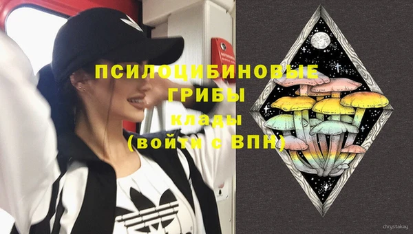 тгк Балахна
