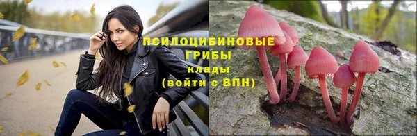 МДПВ Баксан