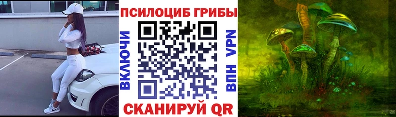 omg сайт Ессентуки Псилоцибиновые грибы Cubensis цена